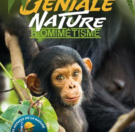 Afficher l'image d'origine