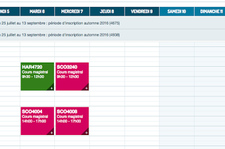 allegro vivace ma non troppo