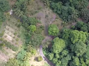 exemple jardin créole