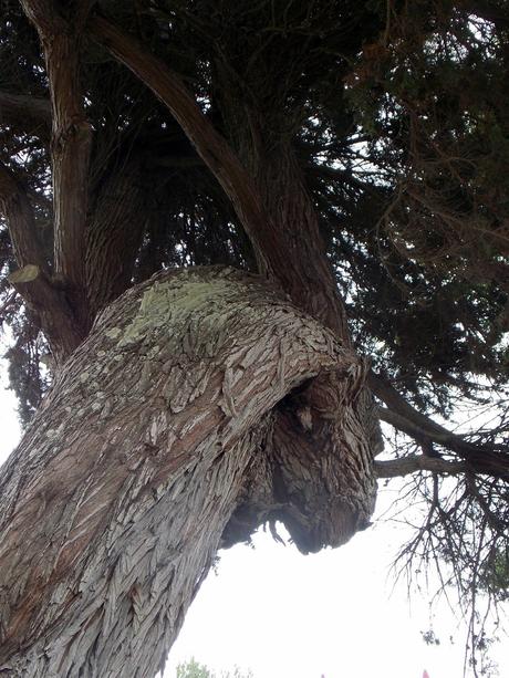 en traçant des chemins sur la mer