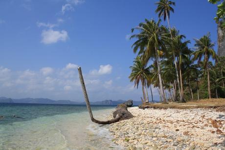 Pinagbuyutan-Island