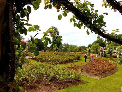 Angleterre - été 2016 - 1ère partie