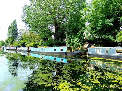 Angleterre - été 2016 - 1ère partie