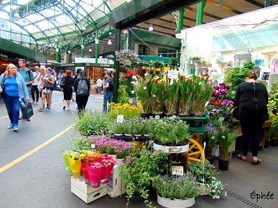 Angleterre - été 2016 - 1ère partie