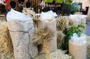 13738310_1061995880515006_7391262807854255617_o