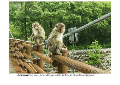 #Japon 9 – Takayama et les Alpes japonaises