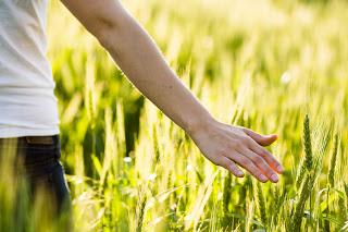 Pensez avec votre peau