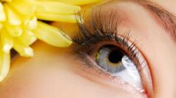 Cosmétique Bio  Mademoiselle bio