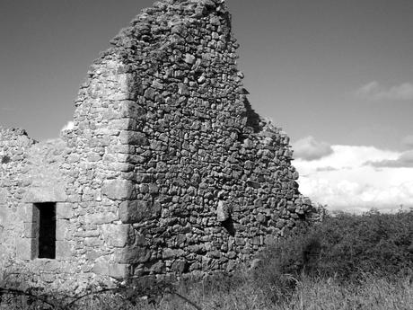 Barbarie, si tu veux de l'amour