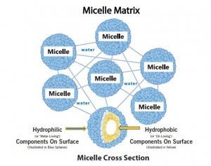 PLAIES CHRONIQUES: La sulfadiazine argentique à la rescousse – Wounds