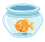 Afficher l'image d'origine