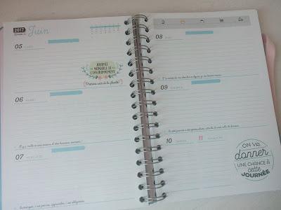 L'objet de la semaine #12 : mon agenda Mr Wonderful + CONCOURS Marque-page Ribonita