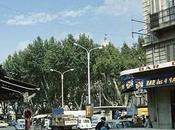 Cinquant'an après Quatre Seisoun