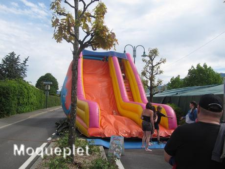 France - Le comice Agricole - les jeux