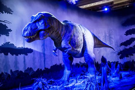 Natural History Museum