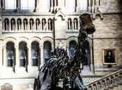 [Voyage] Natural History Museum Londres