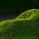 GREEN : Terra Grass armchair by Nucleo