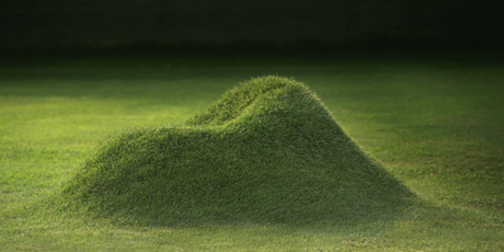 GREEN : Terra Grass armchair by Nucleo
