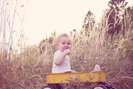 photo bébé chariot jaune dans les herbes hautes