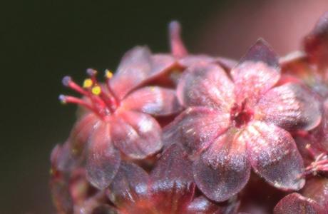 4 marnay rec 5 août 2016 031.jpg