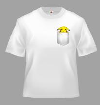 TS-pokemon-08