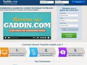 Gaddin.com: enquêtes rémunérées