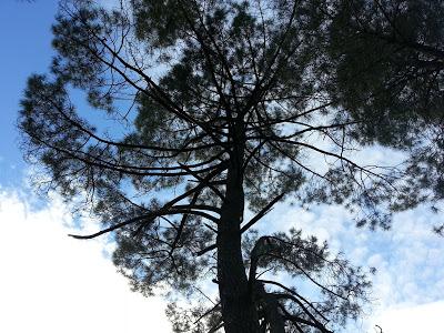 Le départ d’Arnaud par Sundarî