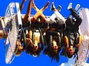 Geneva Lake Festival genevois râlent mais continuent fréquenter manifestation