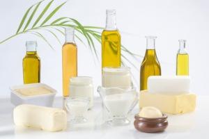 OBÉSITÉ: Bien choisir ses acides gras pour mieux contrôler sa prise alimentaire – Frontiers in Cellular Neuroscience