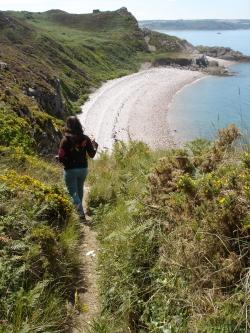 cap, erquy, pointe, bretagne, britanny, brittany, plage, crique, beach, cove, mer, sea
