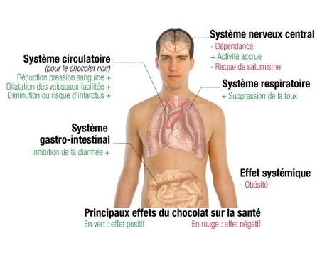 Quels sont les bienfaits du chocolat sur la santé