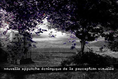 Pour une nouvelle approche écologque d ela erception visuelle