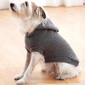 manteau chien tricot 3