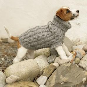 manteau chien tricot