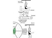 PARALYSIE: interface cerveau-machine permet paraplégiques remarcher Scientific Reports