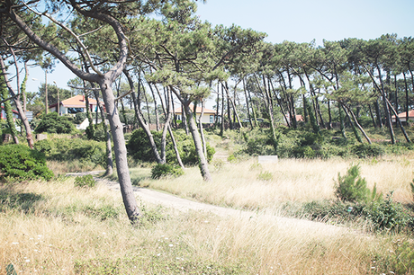 ≈ ANGLET VIBES ≈ ≈ ANGLET VIBES ≈
