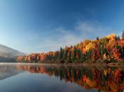 Québec pays startups culturelles sociales