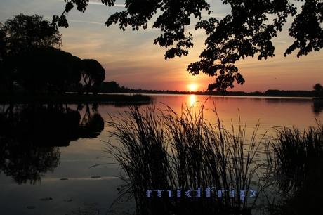 Pays étranger - La Lituanie-2