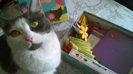 WP_20160609_18_49_00_Pro