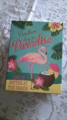 WP_20160609_18_46_56_Pro