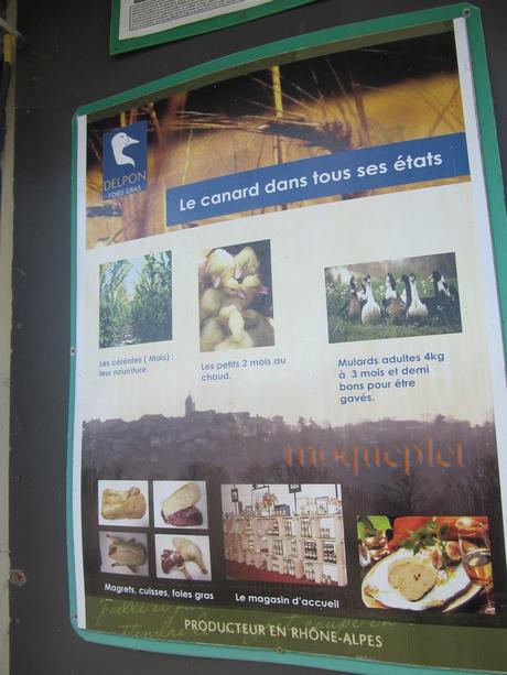 France - balade du 29 juin - 1 - le foie gras