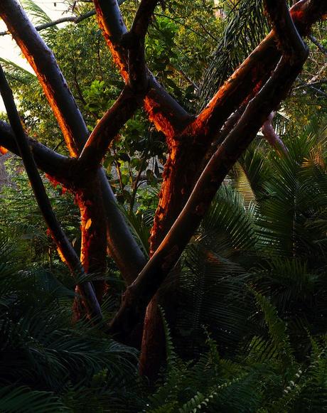 papelillos-13-900x1139