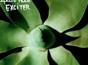 Depeche Mode 1981-2013 (Partie 2001-2013)