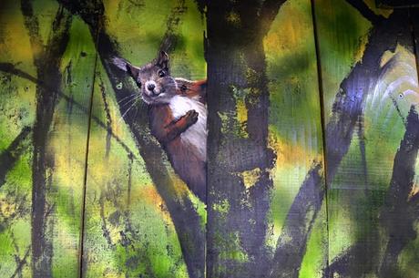 ecureuil bardage 1.jpg