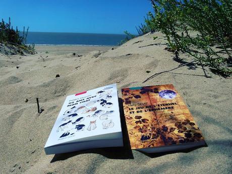 Nos dernières lectures - summer 2016