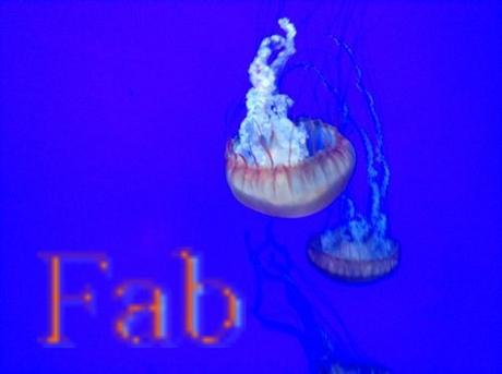 Canada - Aquarium de Toronto