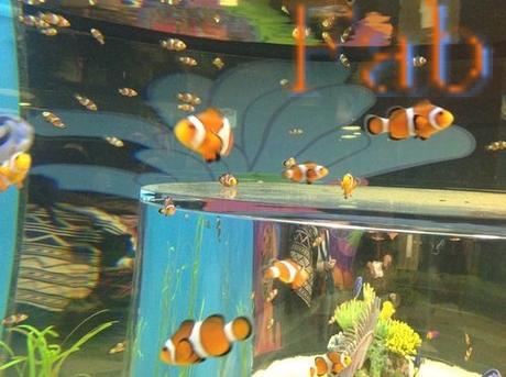 Canada - Aquarium de Toronto