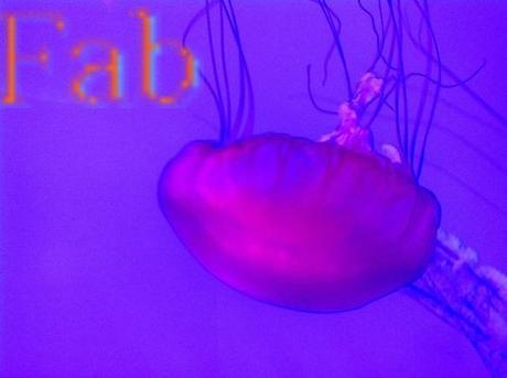 Canada - Aquarium de Toronto