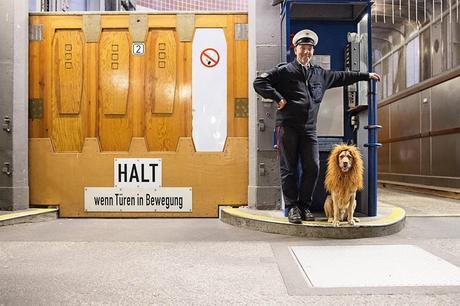 Venez voir ce chien déguisé en lion dans les rues de Hambourg !