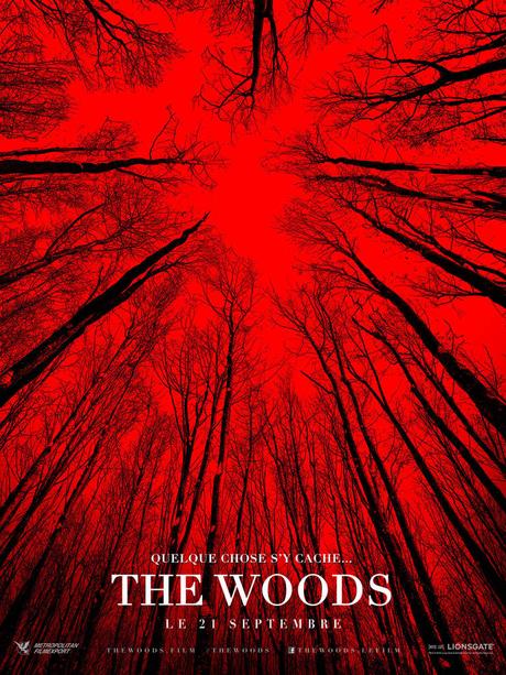 BLAIR WITCH - quelque chose de maléfique se cache dans la forêt... au Cinéma le 21 Septembre 2016